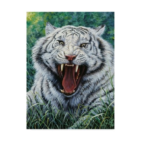 Jeff Tift 'White Tiger Roar' Canvas Art,18x24